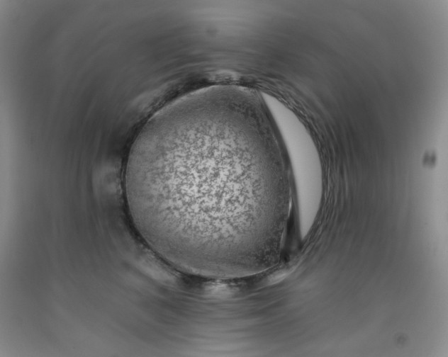 X0000091950616200709201324