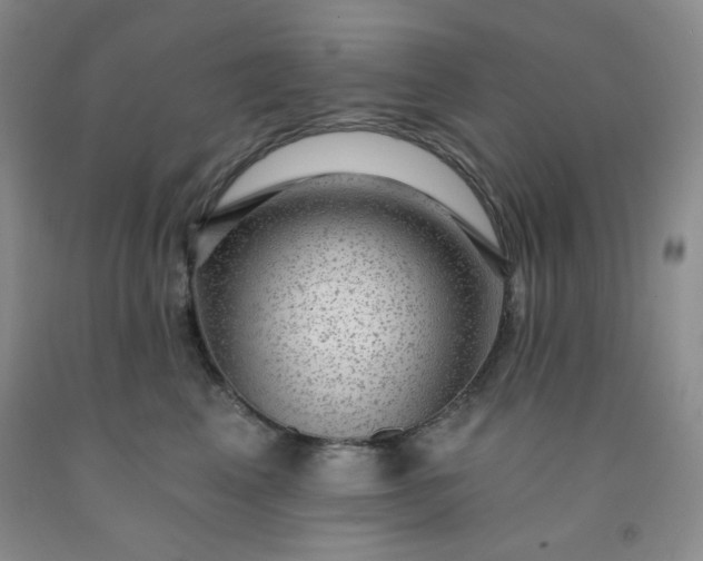 X0000091950617200709201324