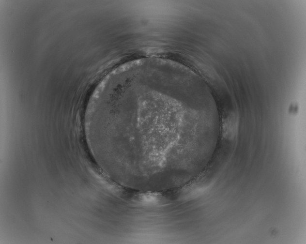 X0000091950618200709201324