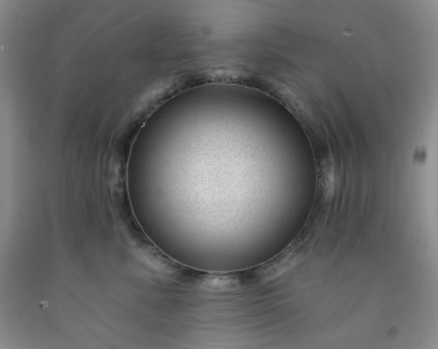 X0000091950619200709201324