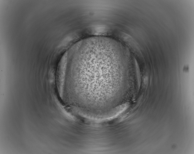 X0000091950620200709201324