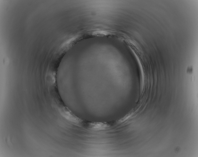 X0000091950621200709201324