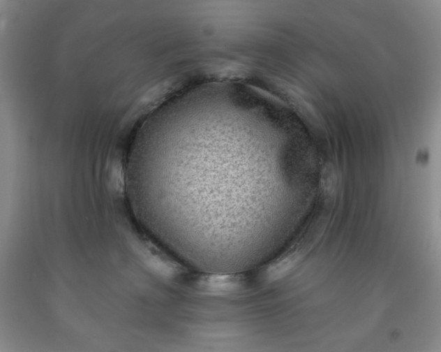 X0000091950622200709201324