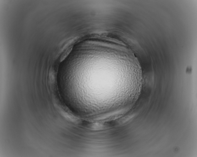 X0000091950623200709201324