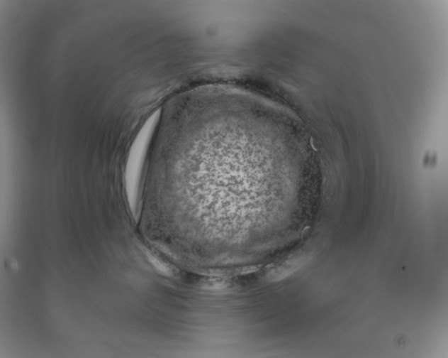 X0000091950624200709201324