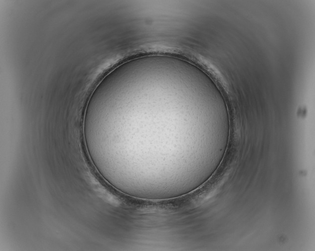 X0000091950625200709201323