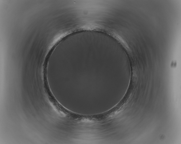 X0000091950626200709201323