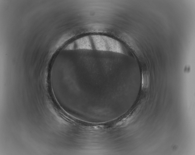 X0000091950627200709201323