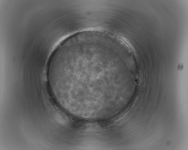 X0000091950628200709201323