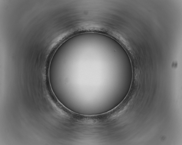 X0000091950629200709201323