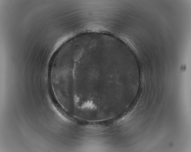 X0000091950630200709201323