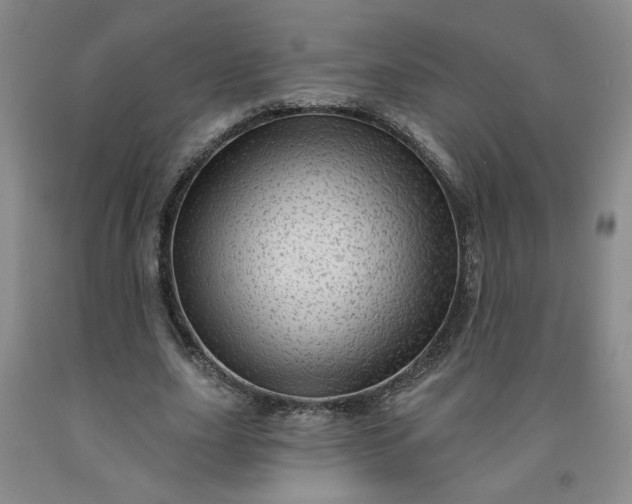 X0000091950631200709201323