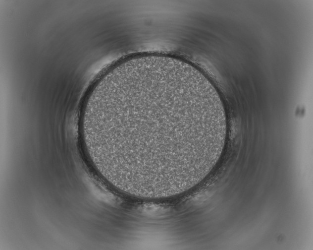 X0000091950632200709201323