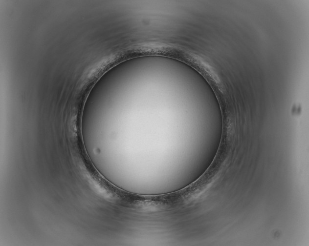 X0000091950633200709201323