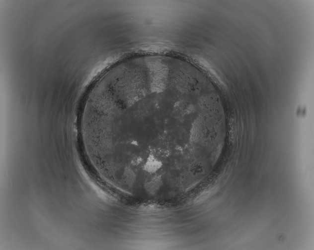 X0000091950634200709201323