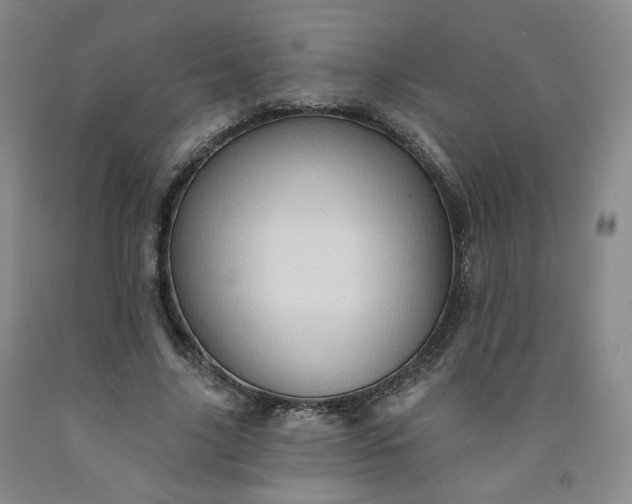 X0000091950635200709201323