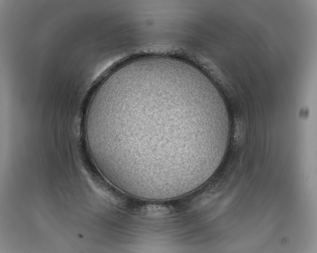 X0000091950636200709201323