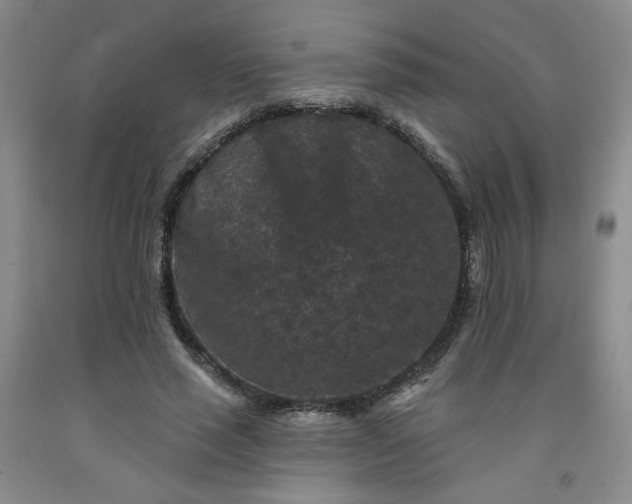 X0000091950637200709201323