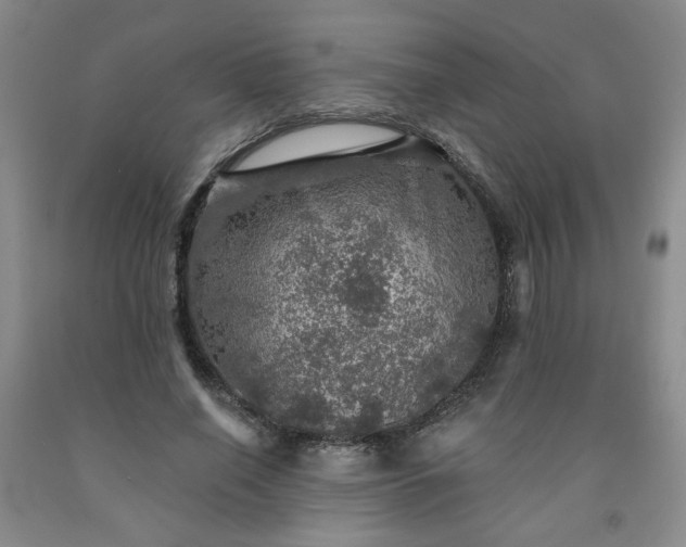 X0000091950638200709201323