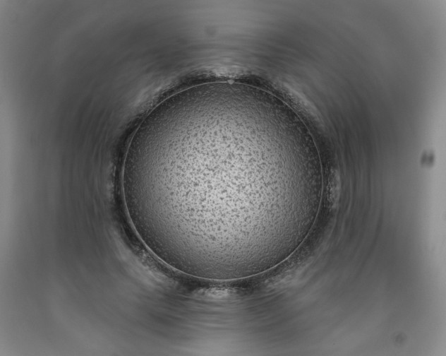 X0000091950639200709201323