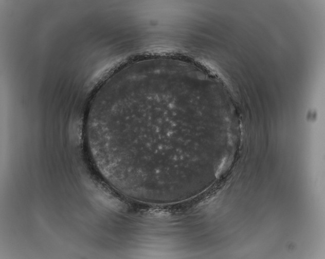 X0000091950640200709201323