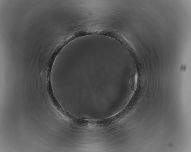 X0000091950641200709201323