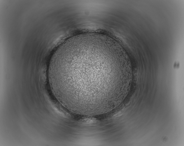 X0000091950642200709201323