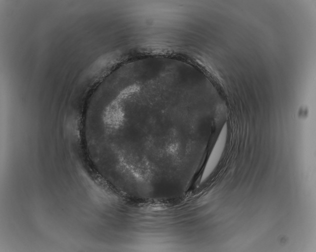 X0000091950643200709201323