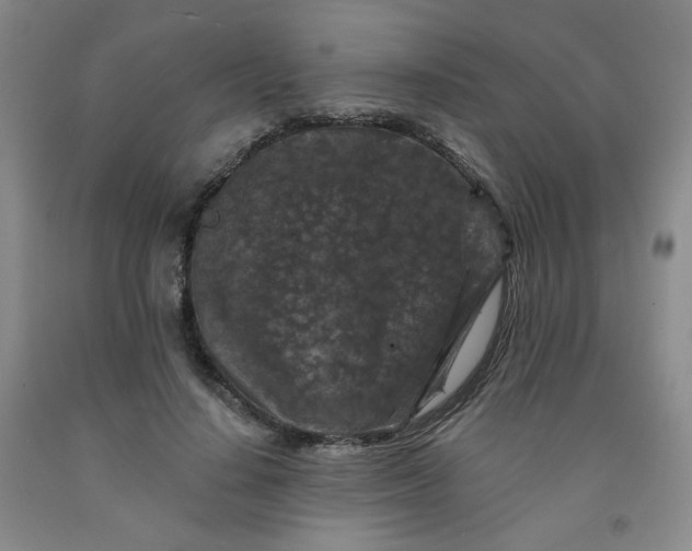 X0000091950644200709201323