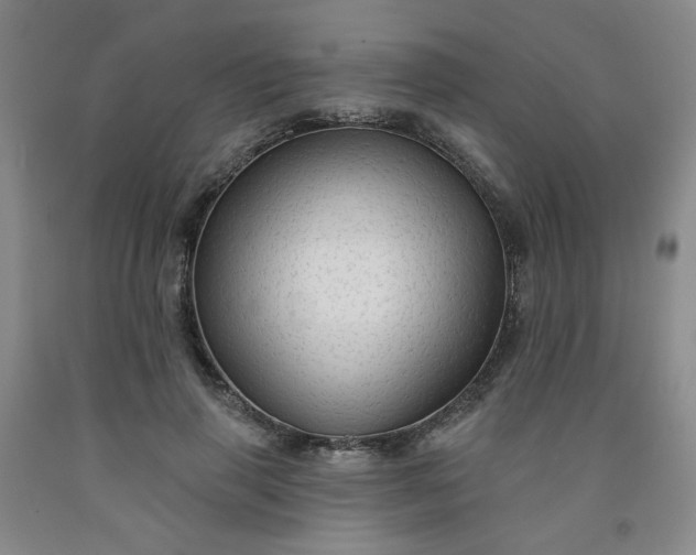 X0000091950645200709201323