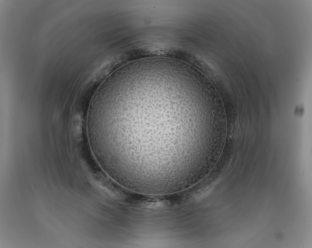 X0000091950646200709201323