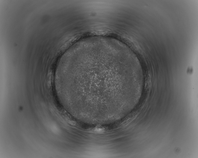 X0000091950647200709201323