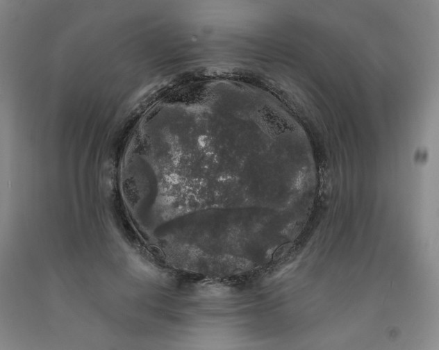 X0000091950648200709201323