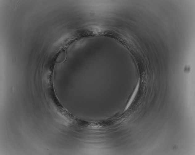 X0000091950650200709201323