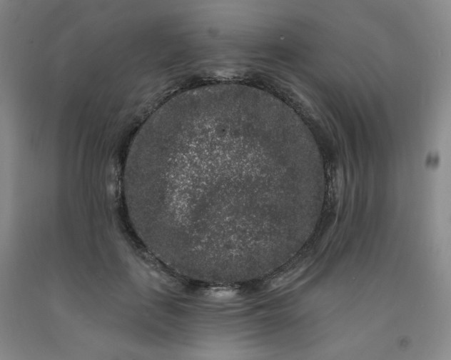 X0000091950651200709201323