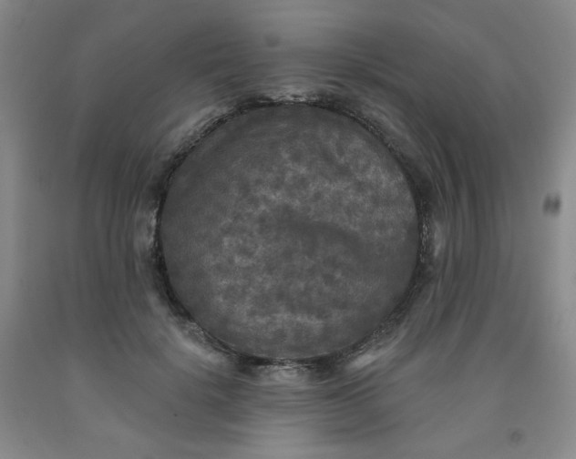 X0000091950652200709201323