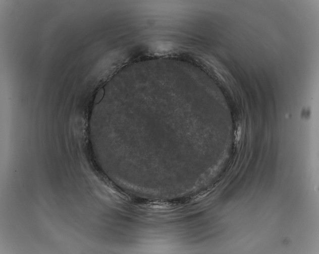 X0000091950653200709201323