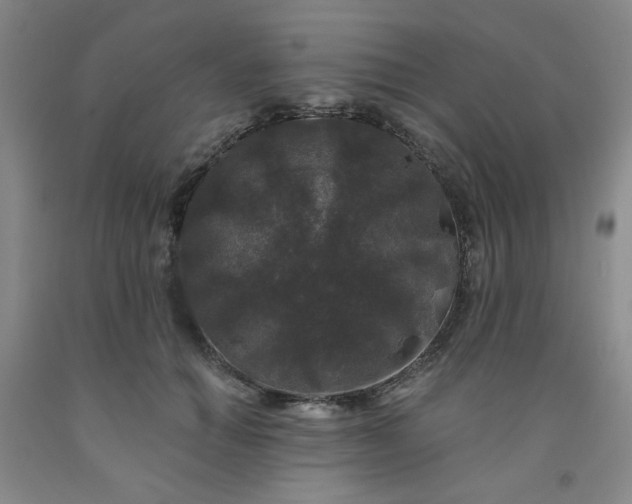 X0000091950654200709201323