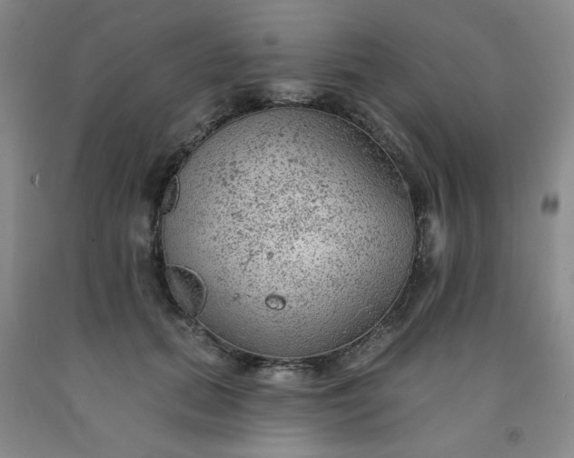 X0000091950655200709201323