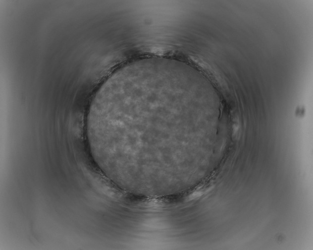 X0000091950656200709201323