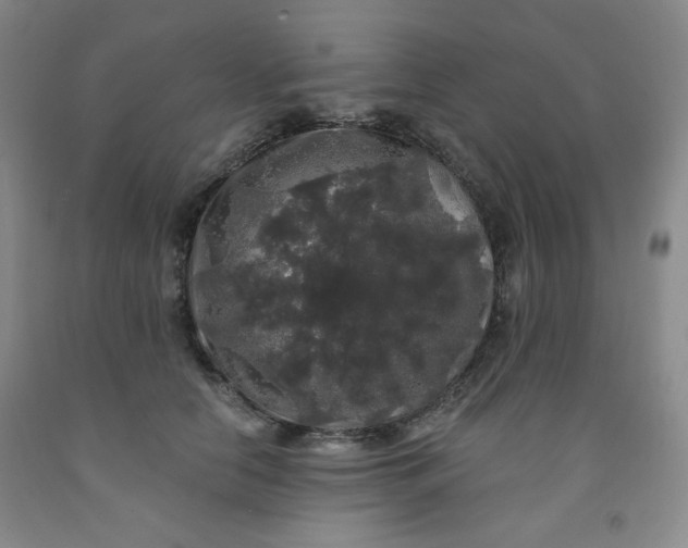 X0000091950658200709201323