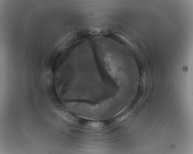 X0000091950659200709201323