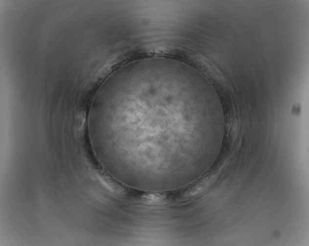 X0000091950660200709201323