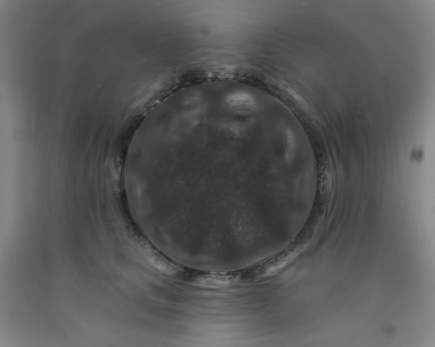 X0000091950661200709201323