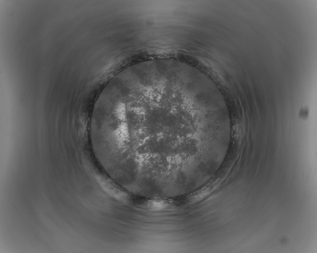 X0000091950662200709201323