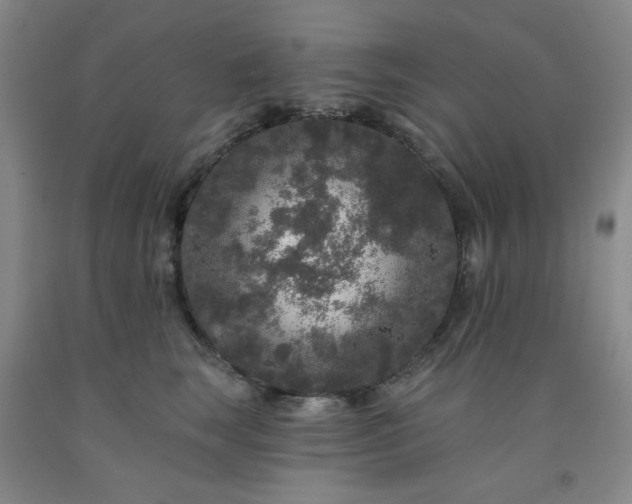 X0000091950663200709201323