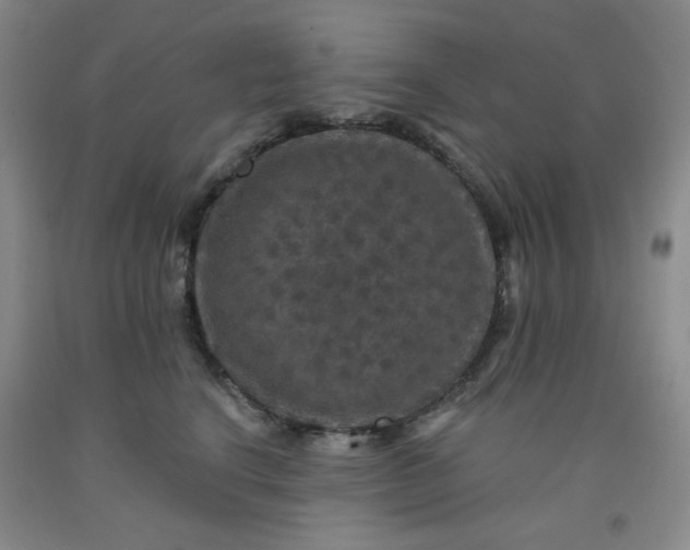 X0000091950664200709201323