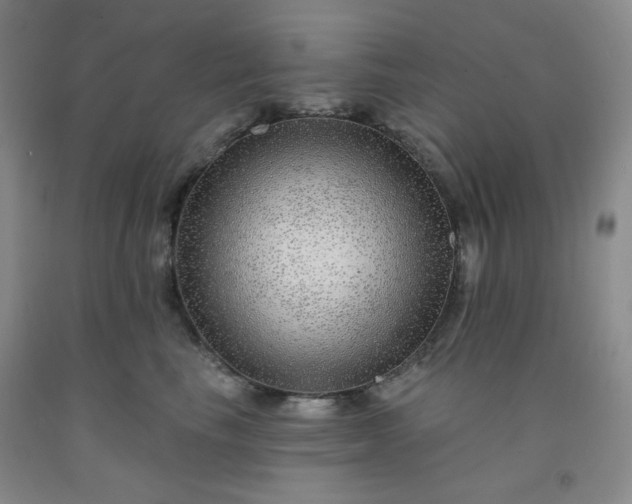 X0000091950665200709201323