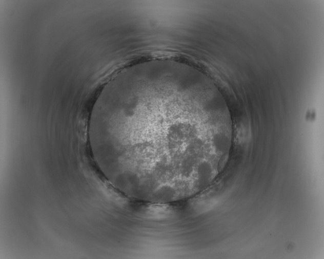 X0000091950666200709201323