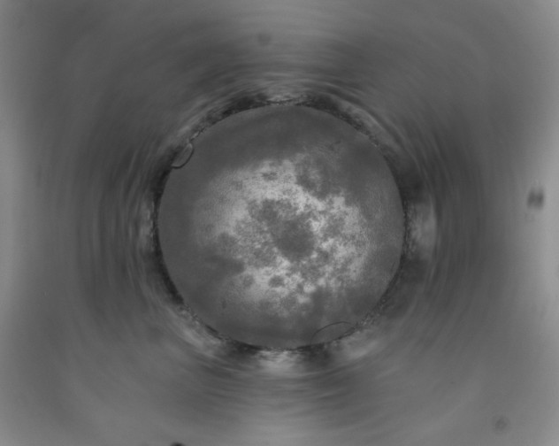 X0000091950667200709201323